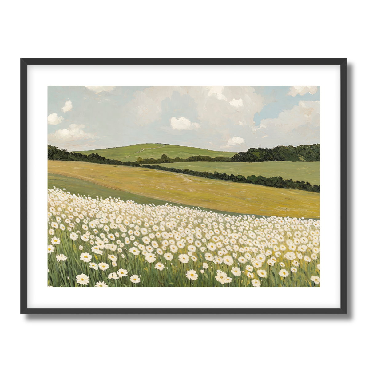 Daisy Field Fine Art Paper Print