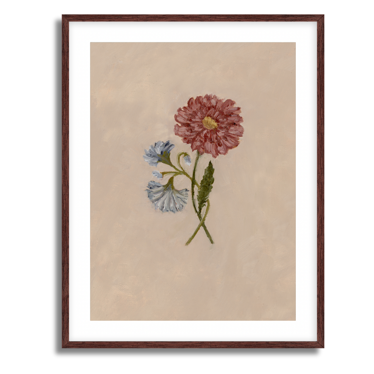 September Birth Flower Fine Art Paper Print