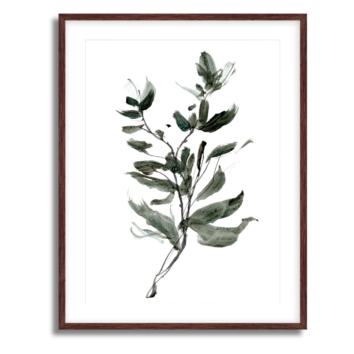 Botanica Fine Art Paper Print