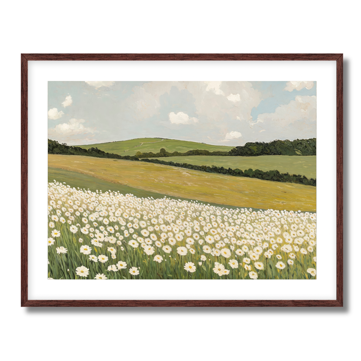 Daisy Field Fine Art Paper Print