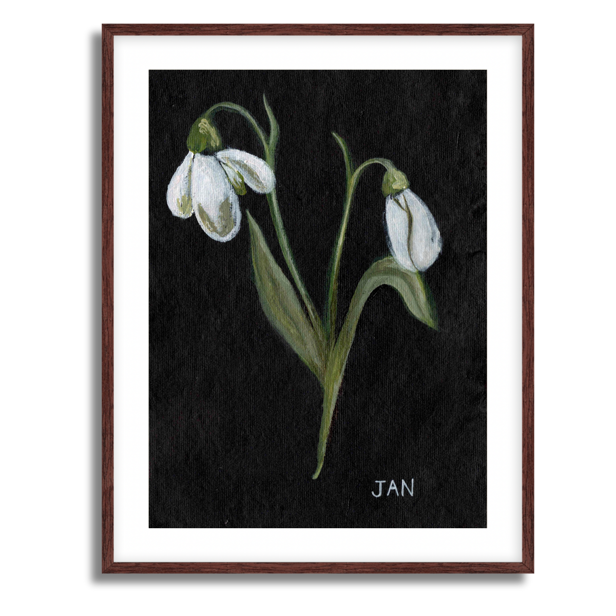 We Remember January Birth Flower Fine Art Paper Print