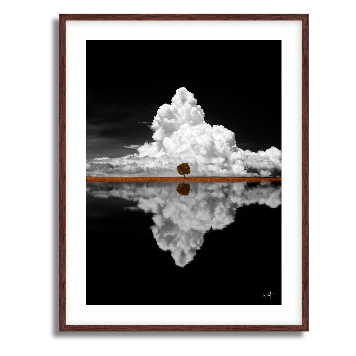 Maple Tree Fine Art Paper Print