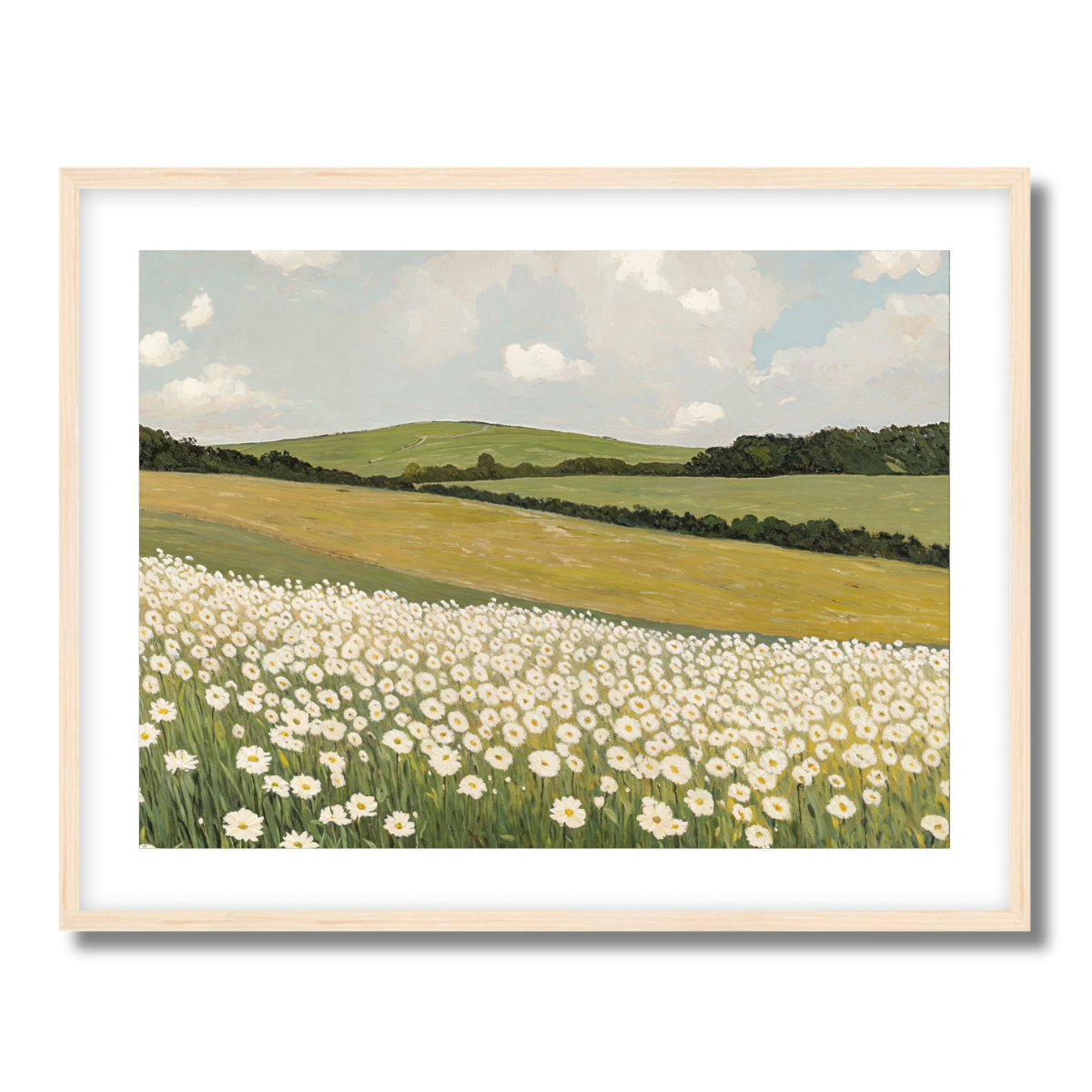 Daisy Field Fine Art Paper Print