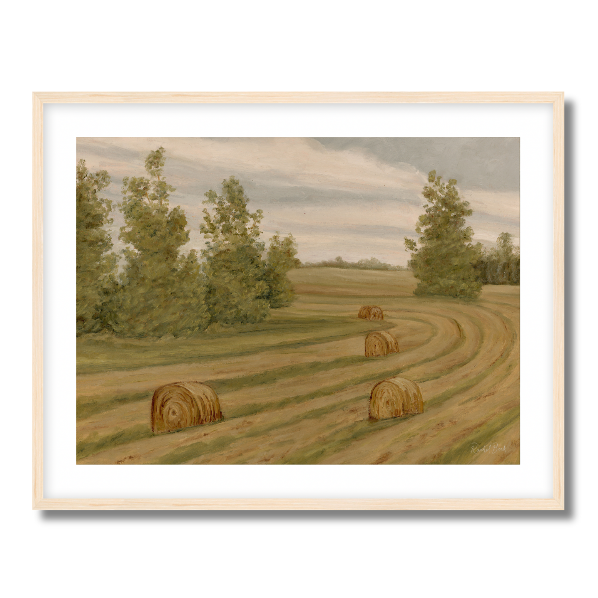 Farm Fields No 154 Fine Art Paper Print