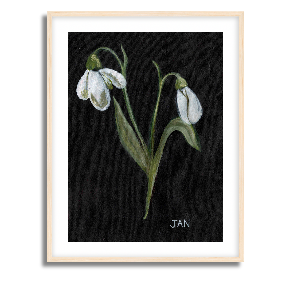 We Remember January Birth Flower Fine Art Paper Print