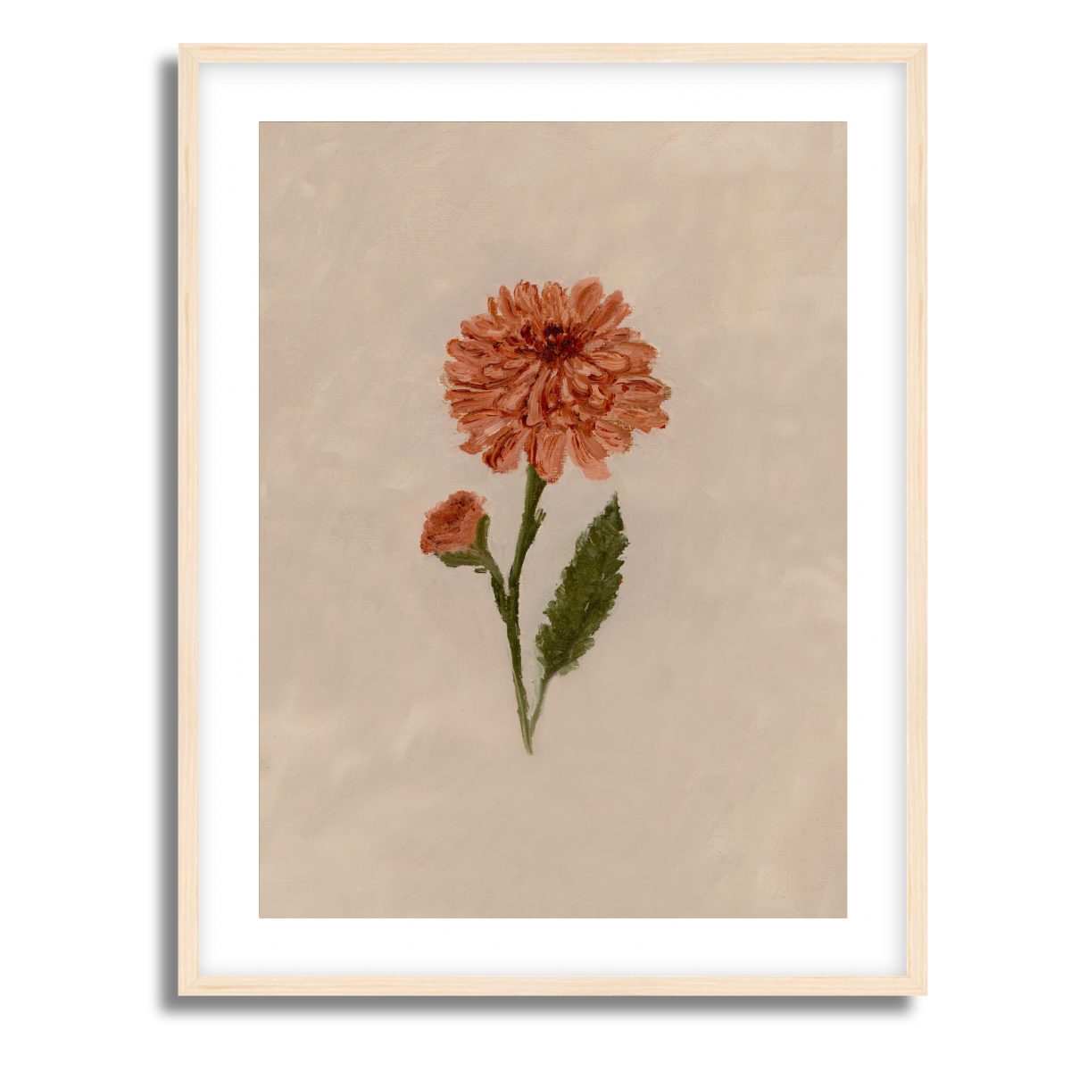 November Birth Flower Fine Art Paper Print