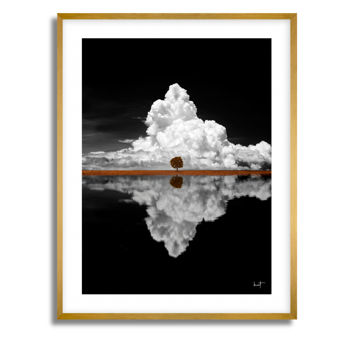 Maple Tree Fine Art Paper Print