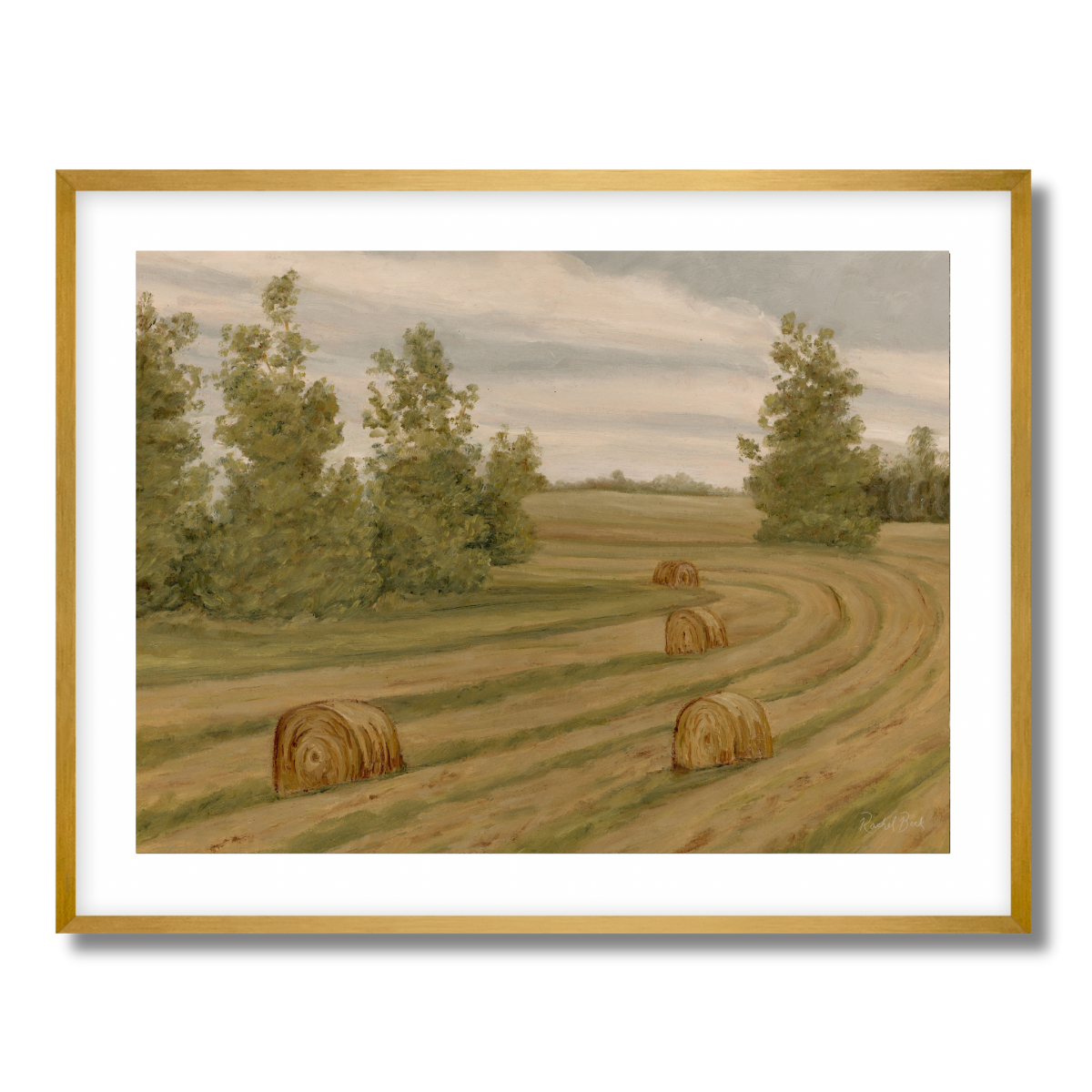 Farm Fields No 154 Fine Art Paper Print