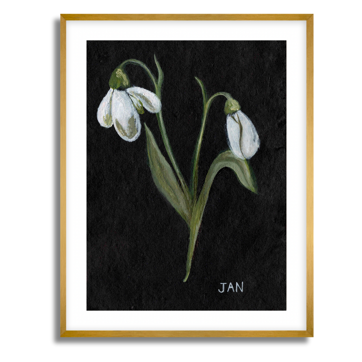 We Remember January Birth Flower Fine Art Paper Print