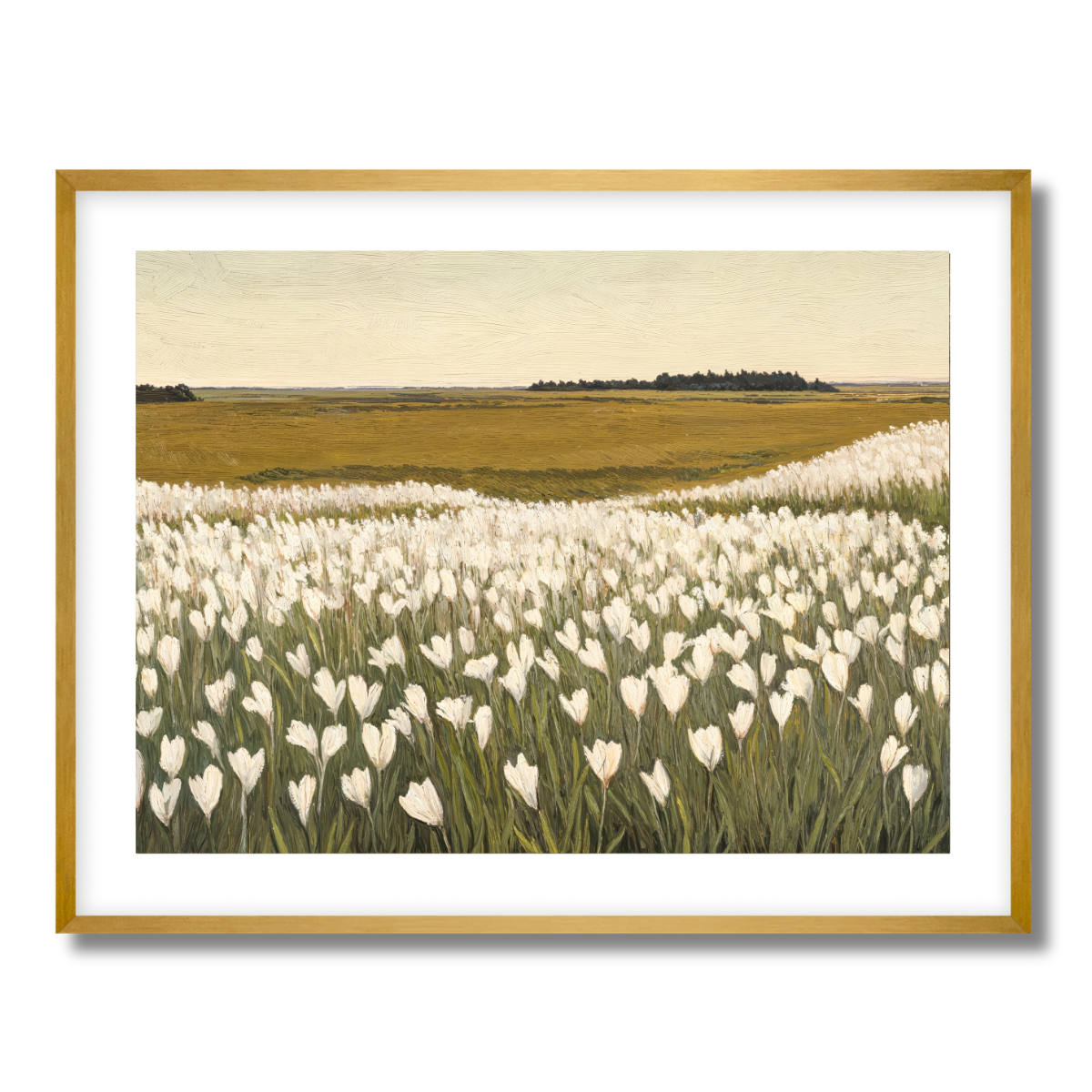 Blooming Meadows Fine Art Paper Print