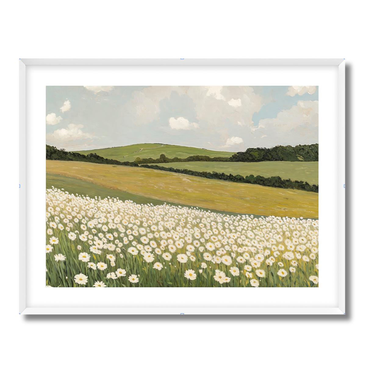 Daisy Field Fine Art Paper Print