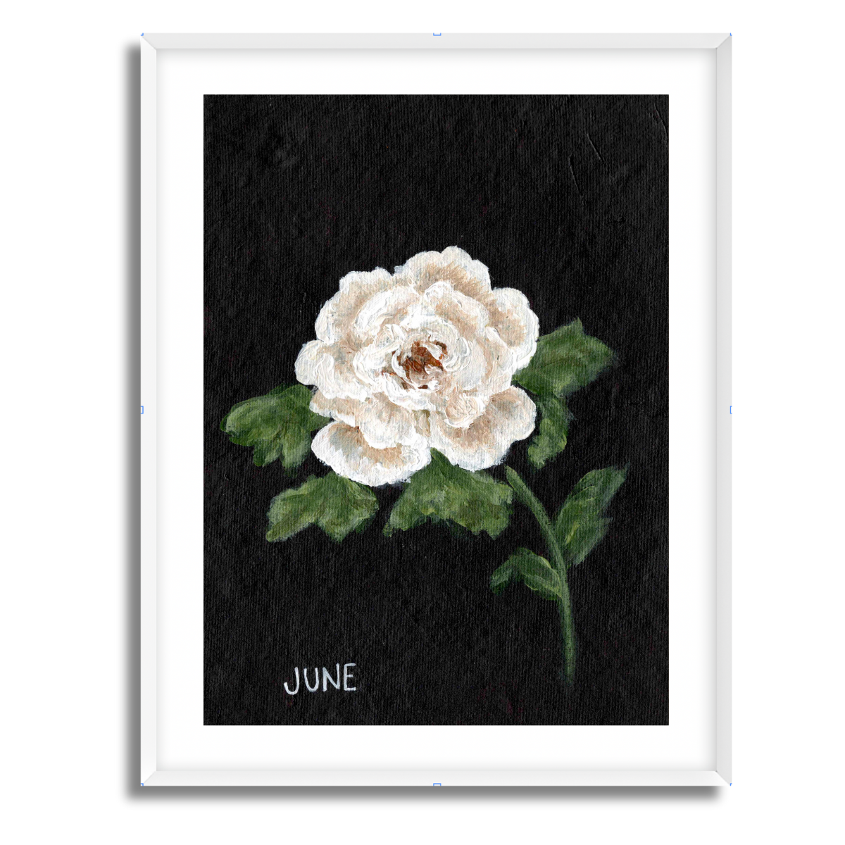 We Remember June Birth Flower Fine Art Paper Print