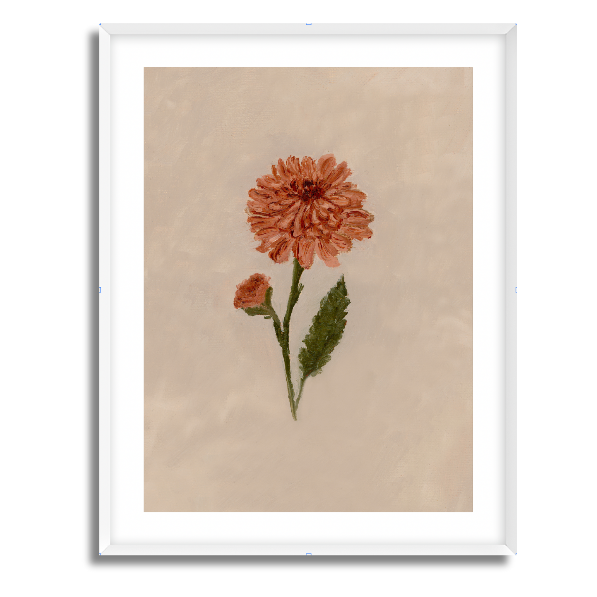 November Birth Flower Fine Art Paper Print