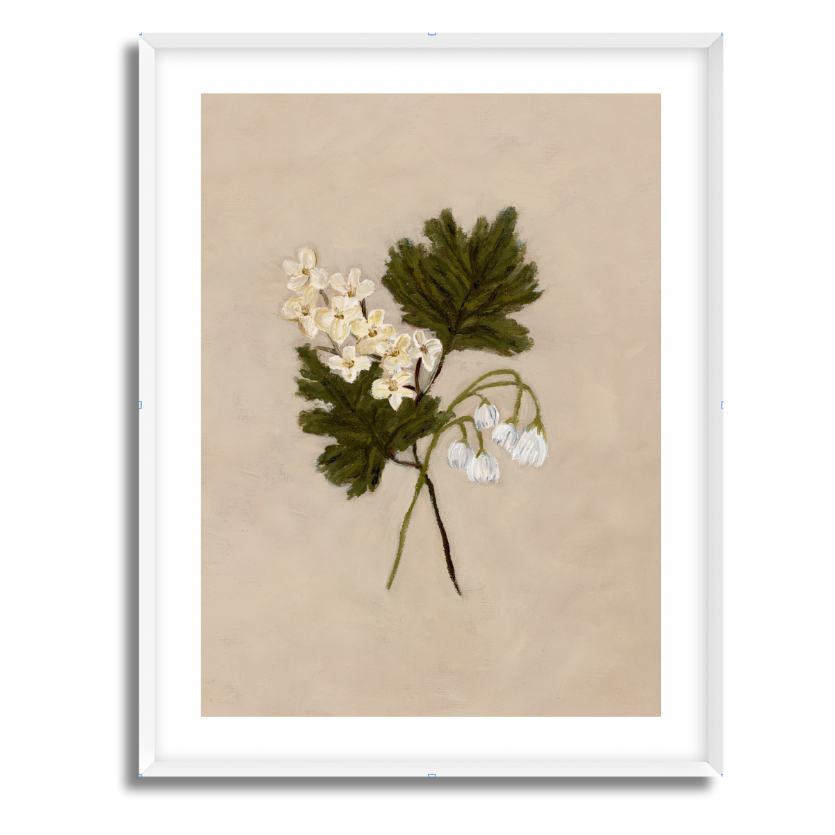 May Birth Flower Fine Art Paper Print