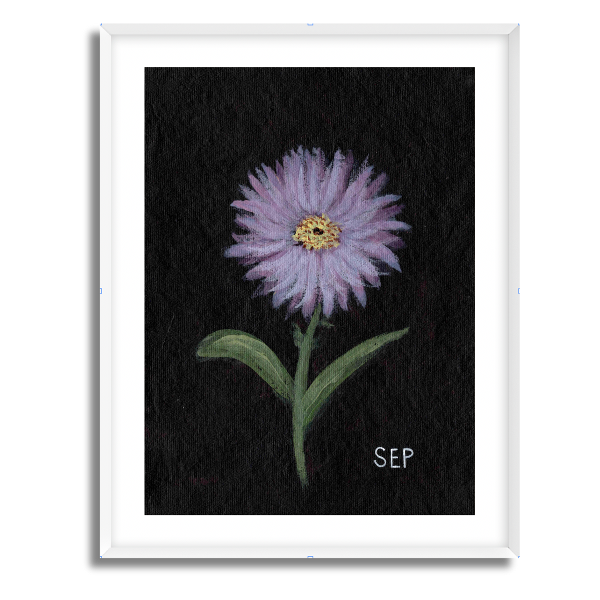 We Remember September Birth Flower Fine Art Paper Print