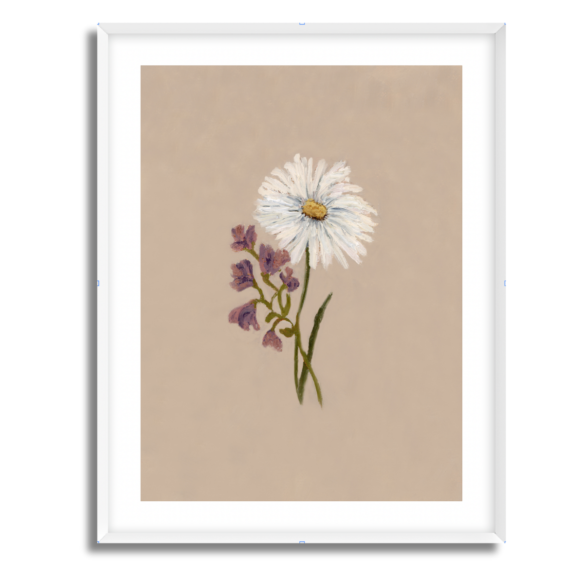 April Birth Flower Fine Art Paper Print