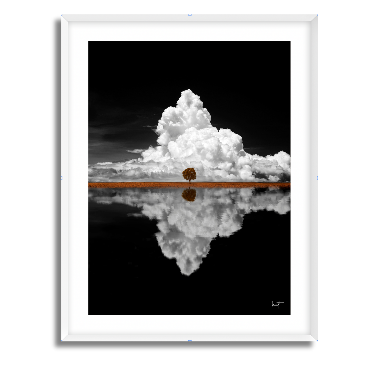 Maple Tree Fine Art Paper Print