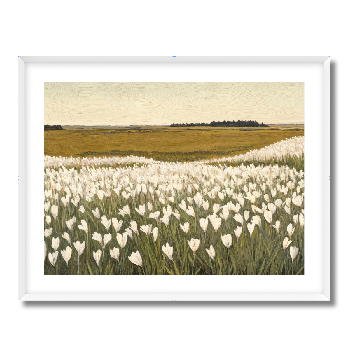 Blooming Meadows Fine Art Paper Print