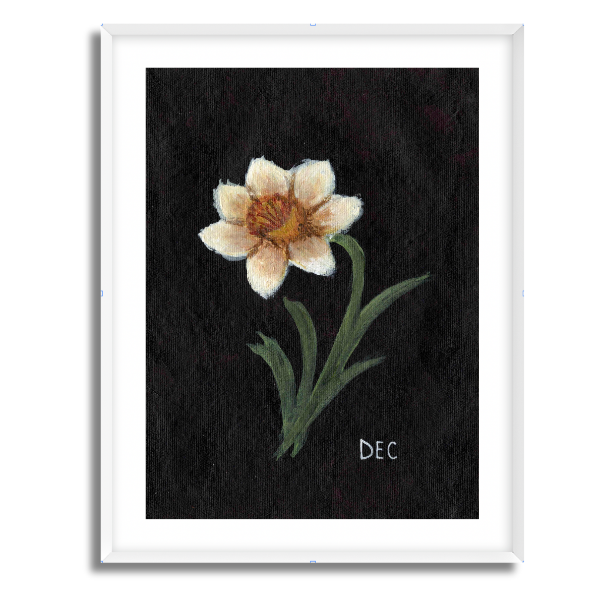 We Remember December Birth Flower Fine Art Paper Print