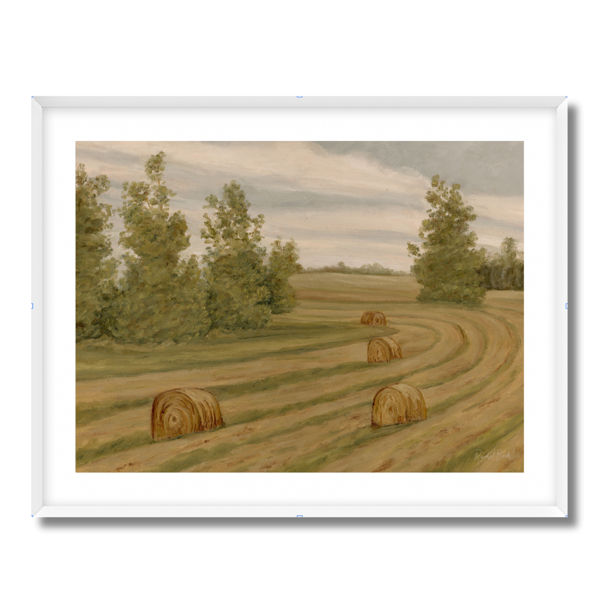 Farm Fields No 154 Fine Art Paper Print