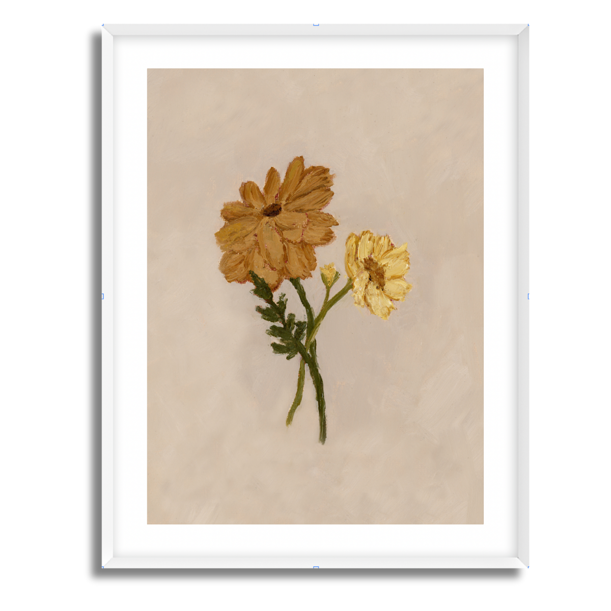 October Birth Flower Fine Art Paper Print