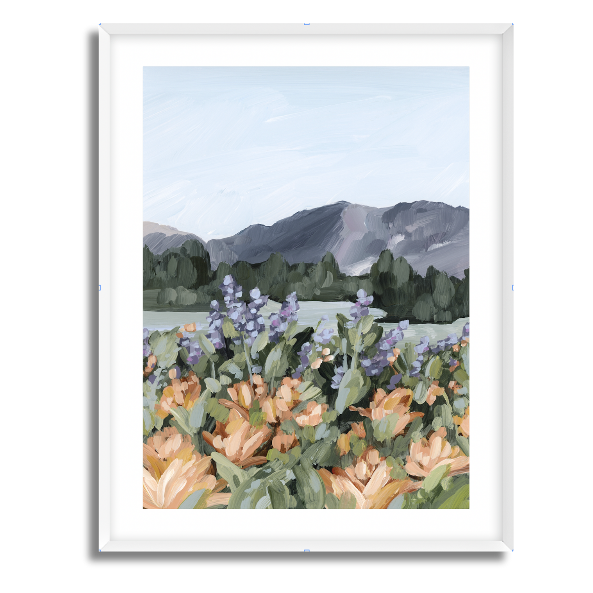 Rocky Mountain Summer Fine Art Paper Print