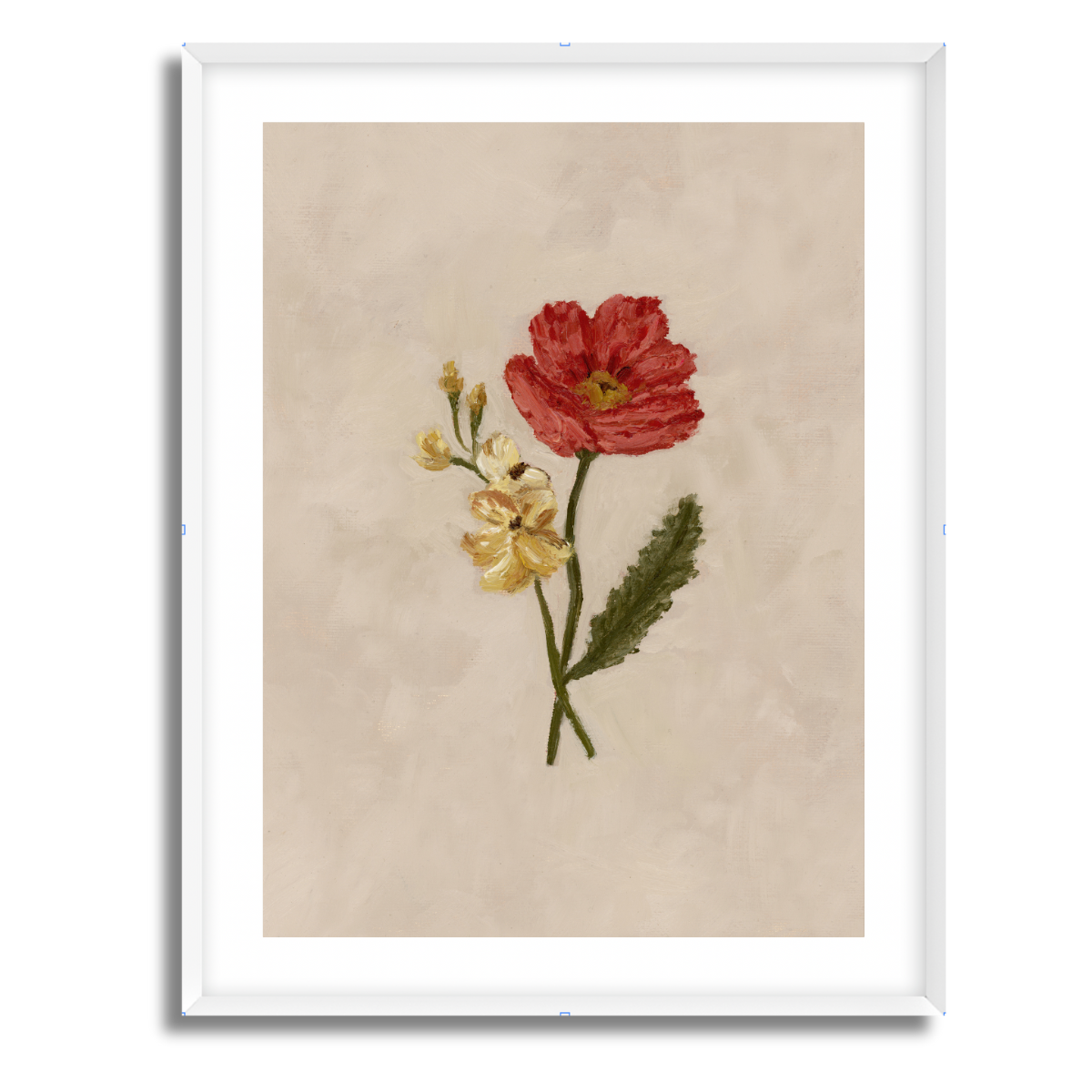 August Birth Flower Fine Art Paper Print