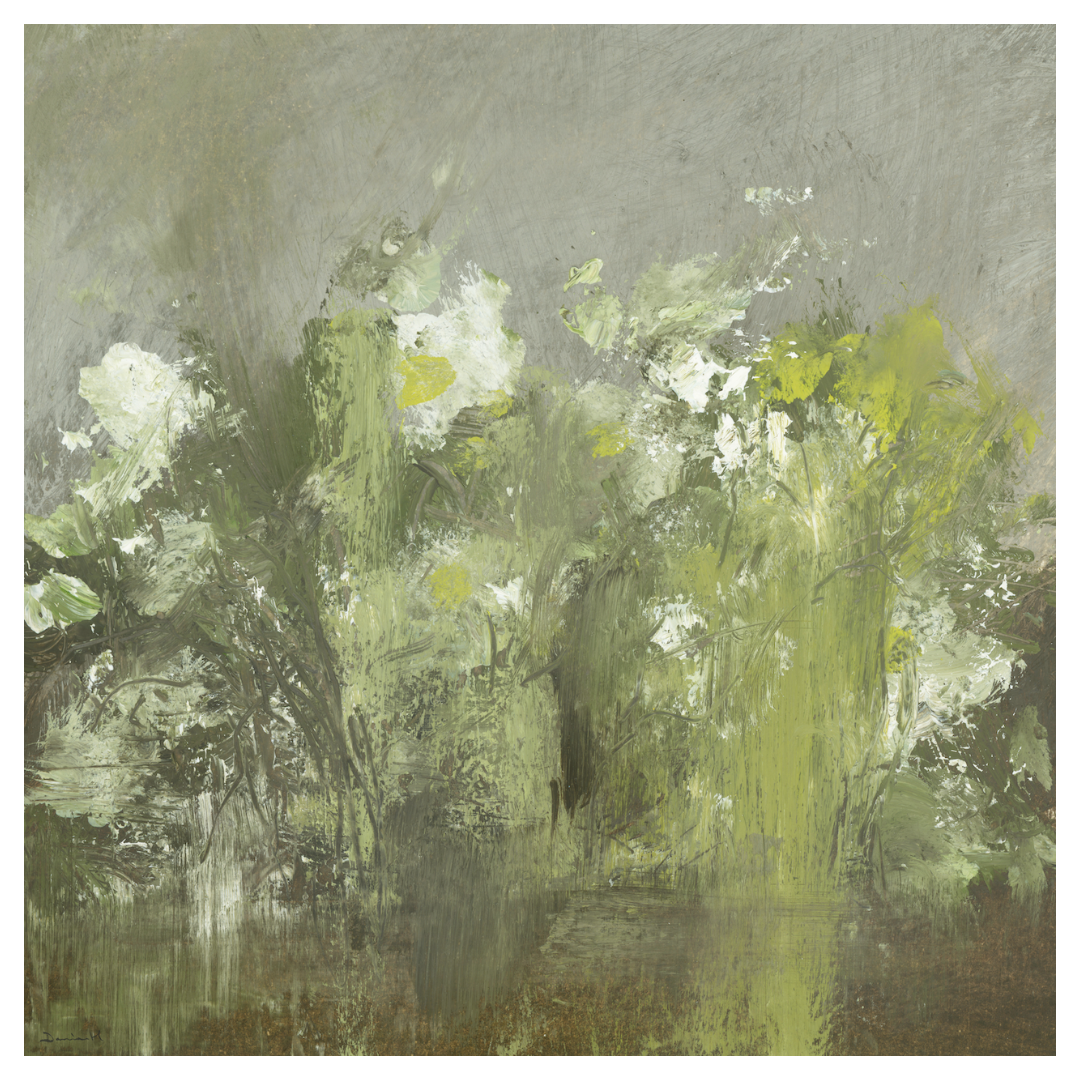 Soft Flowers