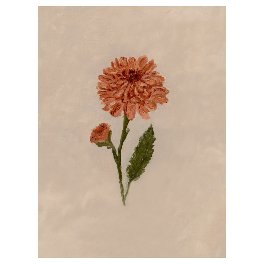 November Birth Flower