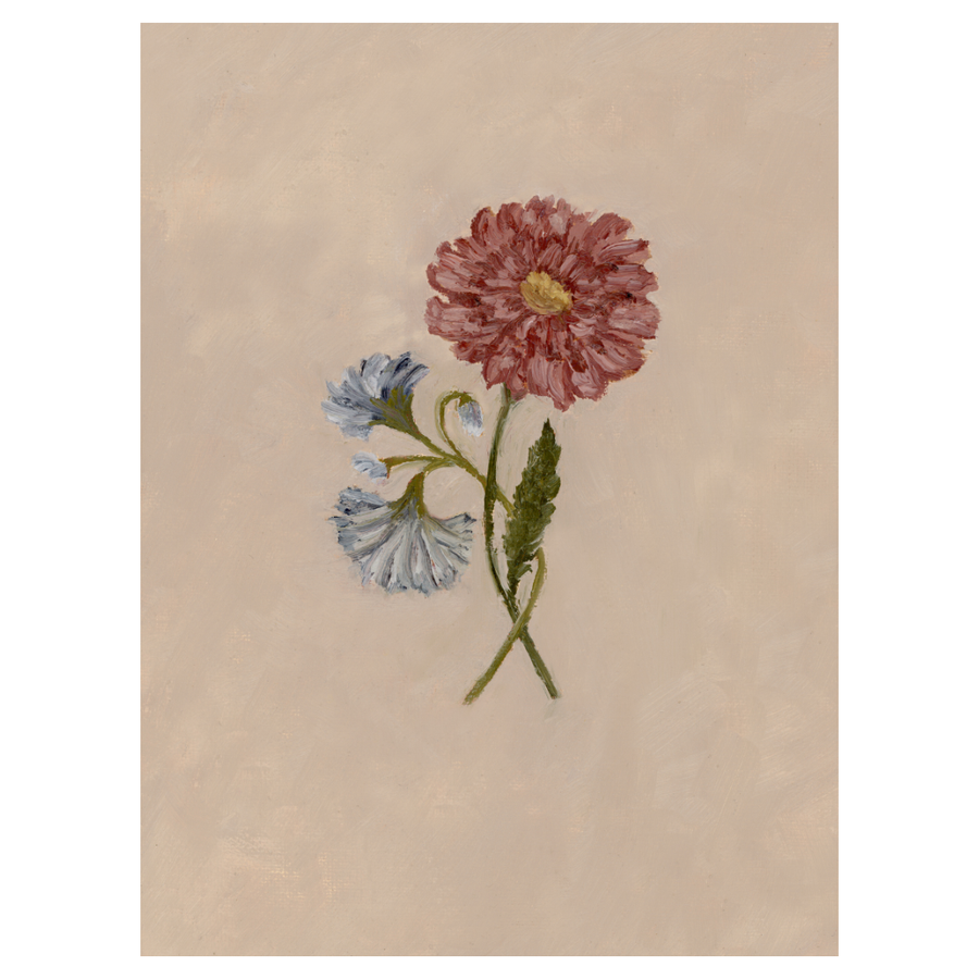 September Birth Flower