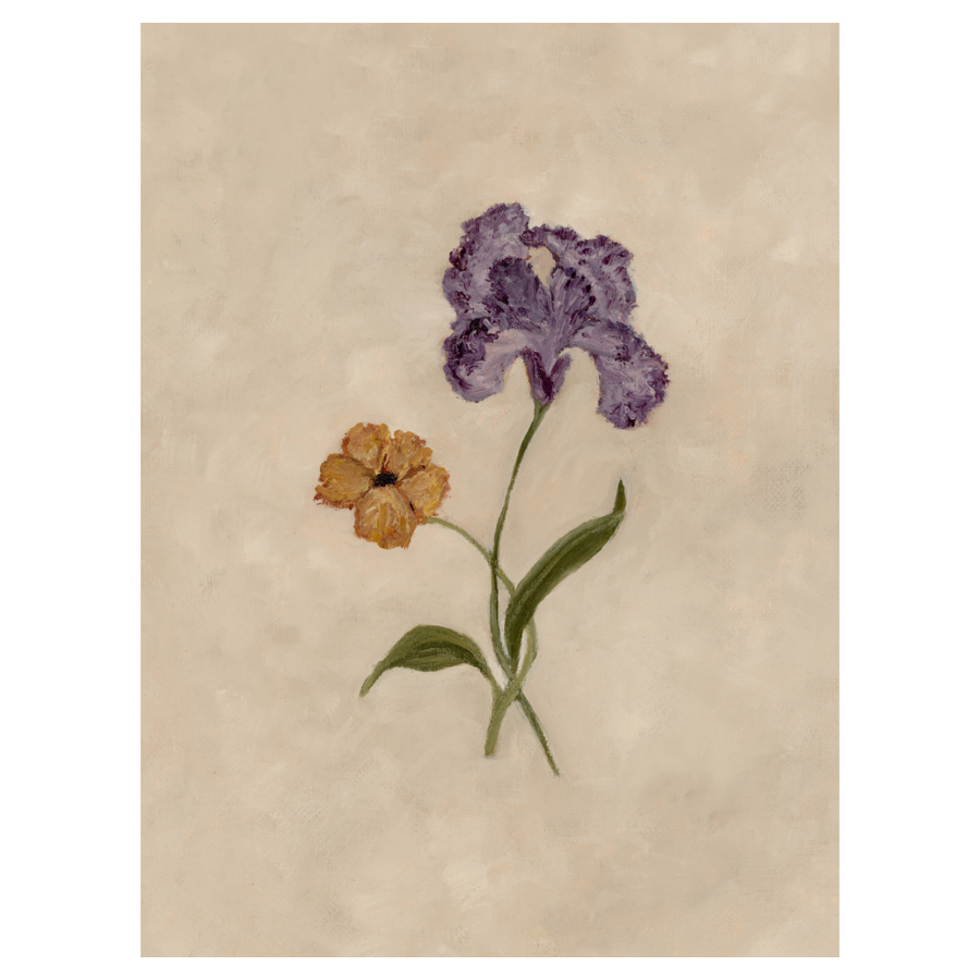 February Birth Flower