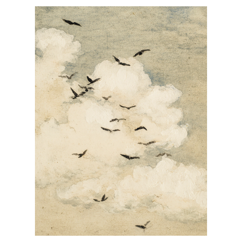 Birds Flying