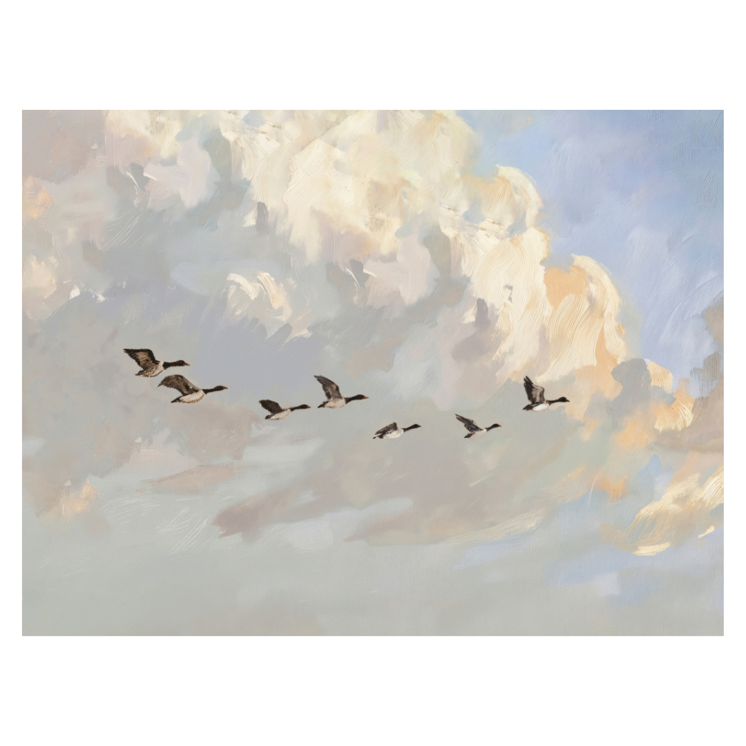Flying Birds