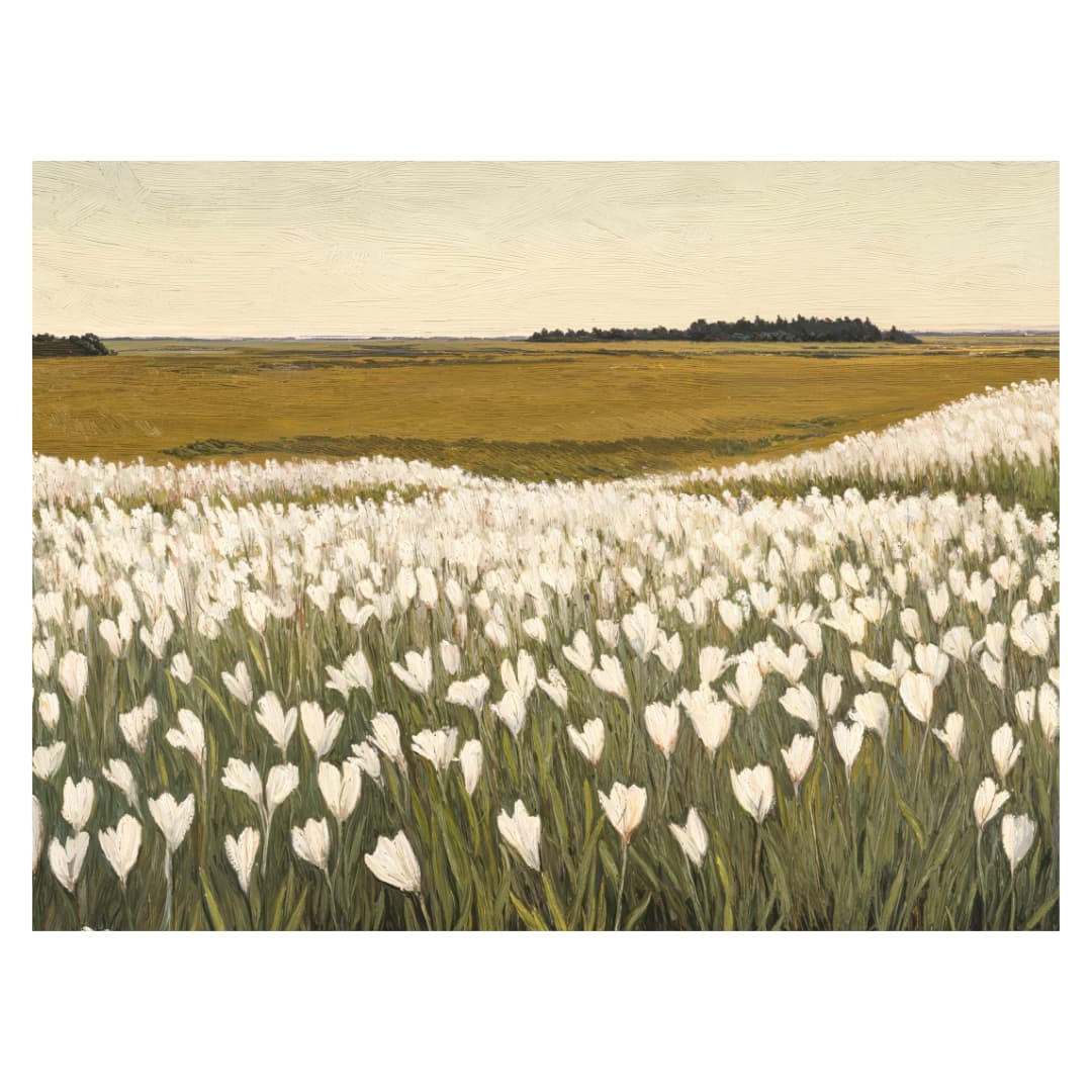 Blooming Meadows