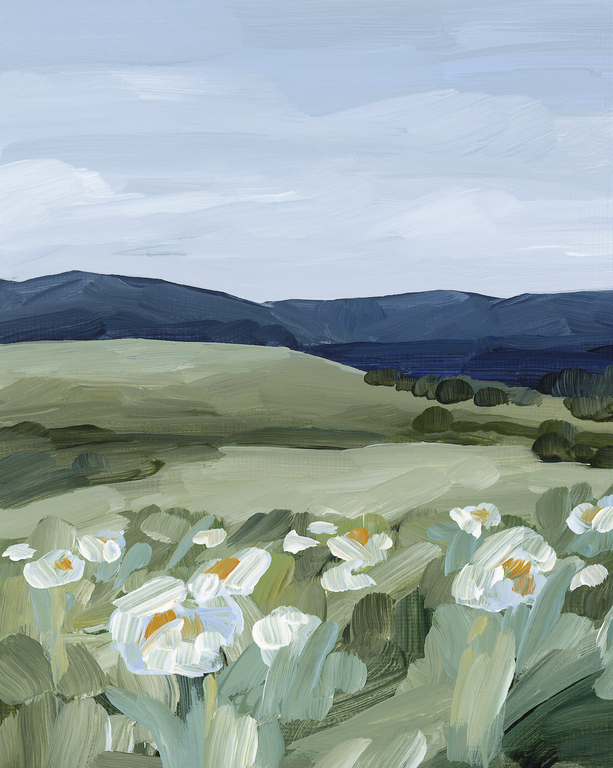 Wild Poppies Custom 16" x 20"