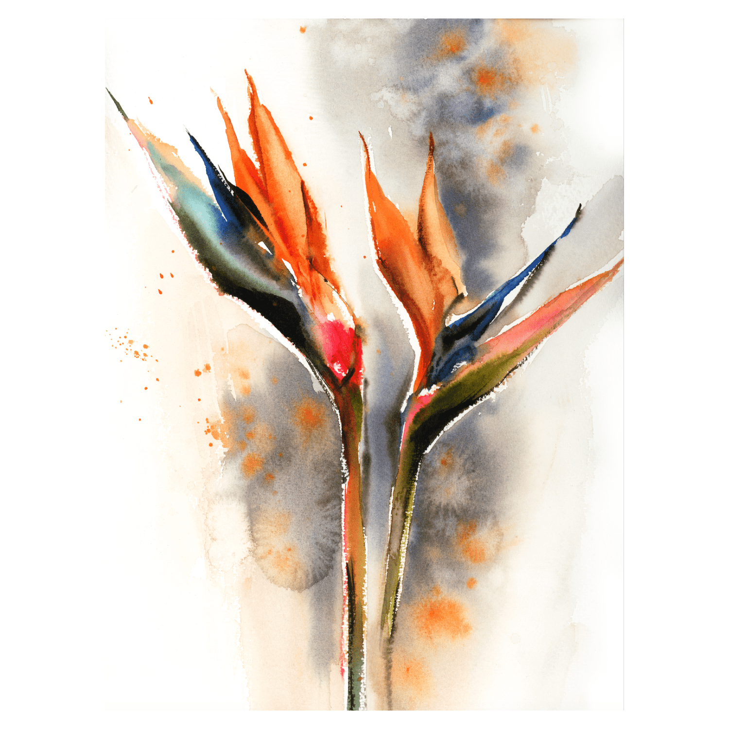 Bird of Paradise - Giri Designs