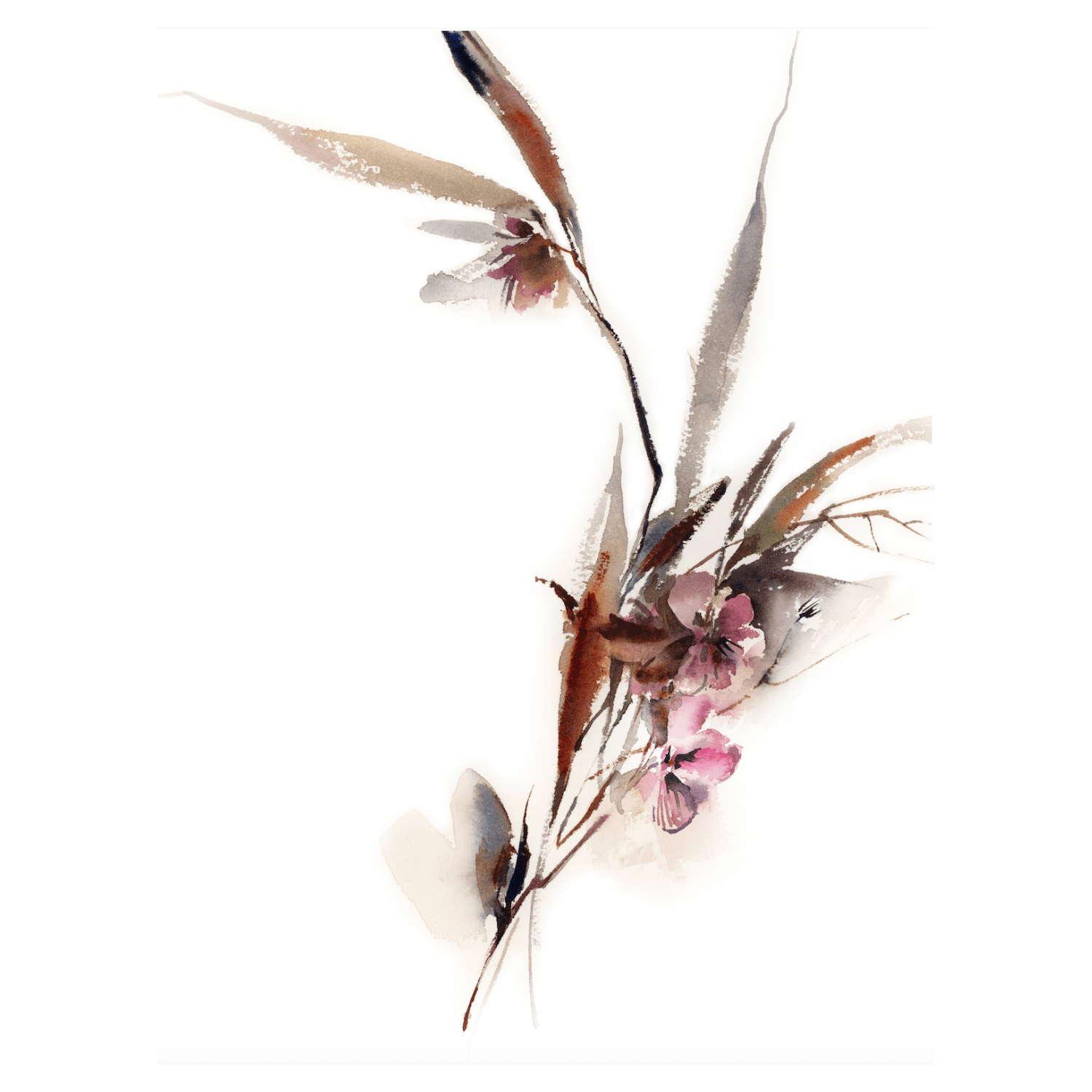 Delicate - Giri Designs