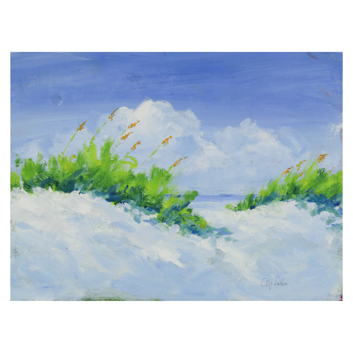 Coastal Dunes - Giri Designs