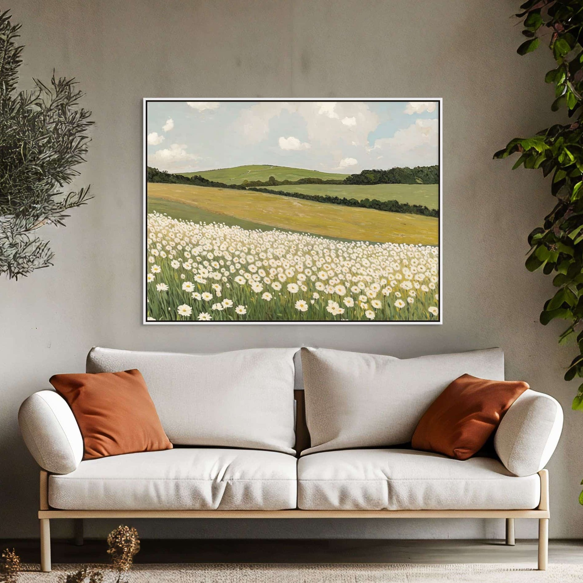 Daisy Field