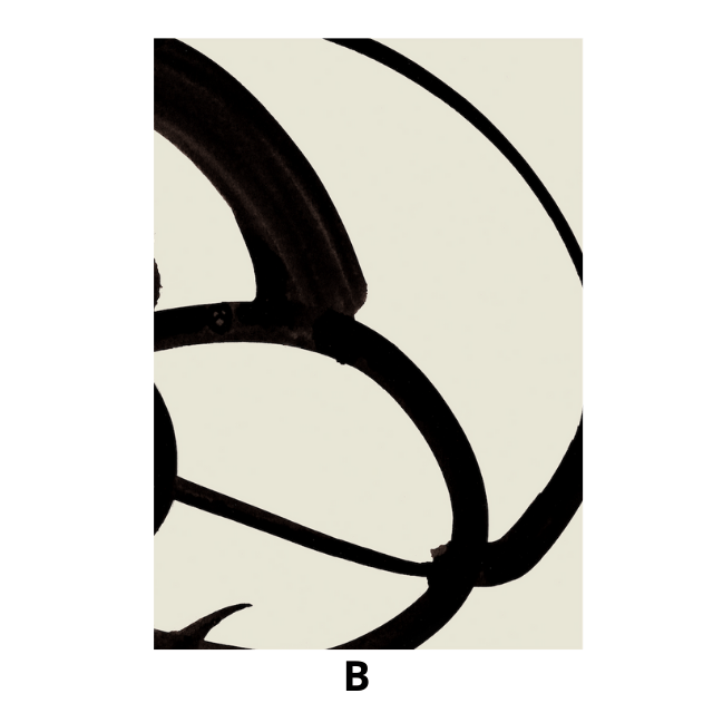 Mono Brush - Giri Designs