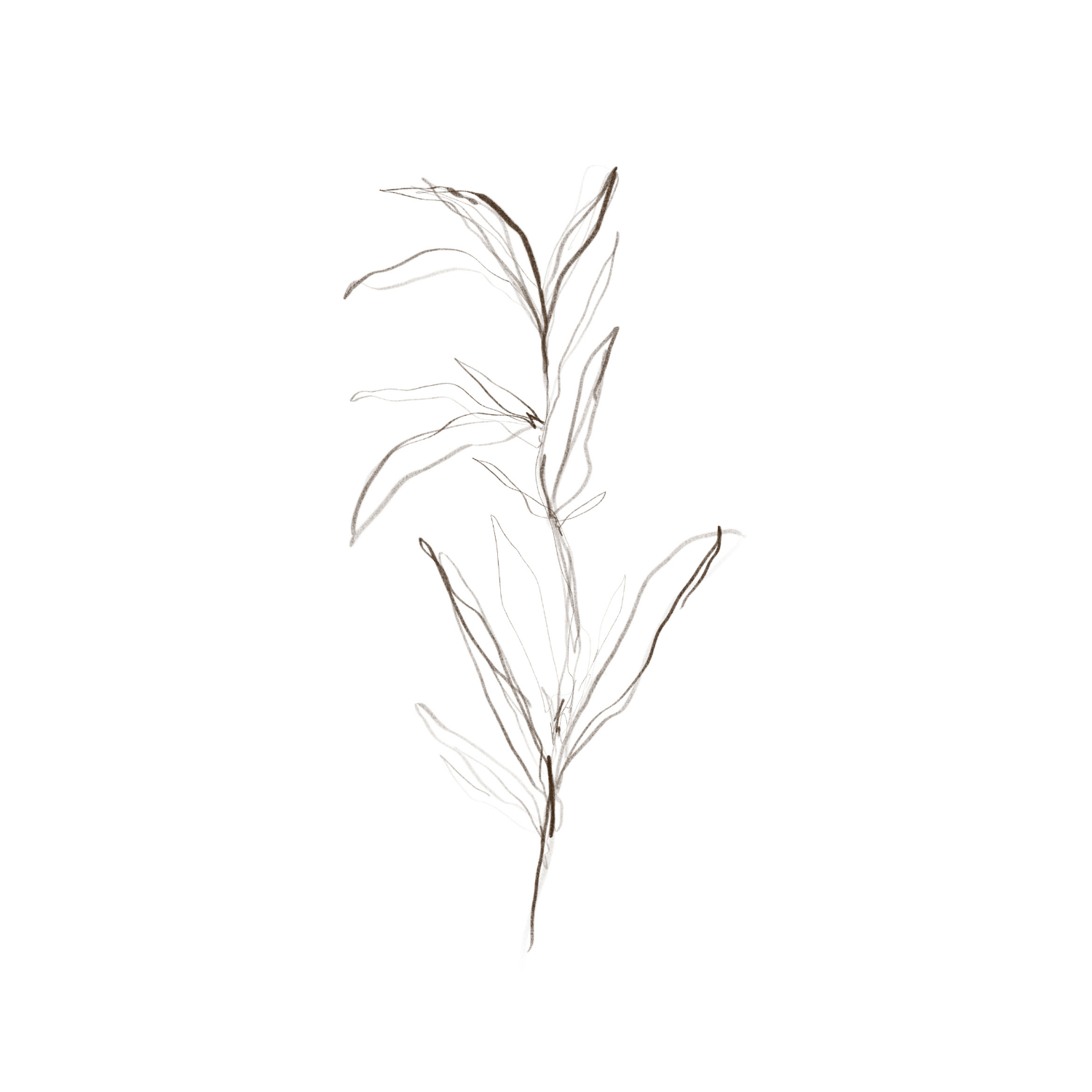 Minimalist Botanic - Giri Designs