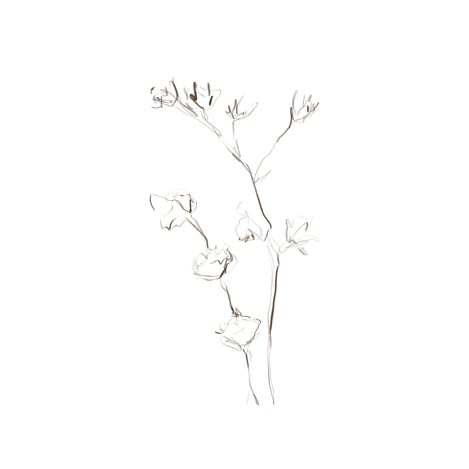 Minimalist Botanic - Giri Designs