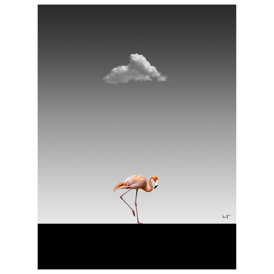 Flamingo Catwalk