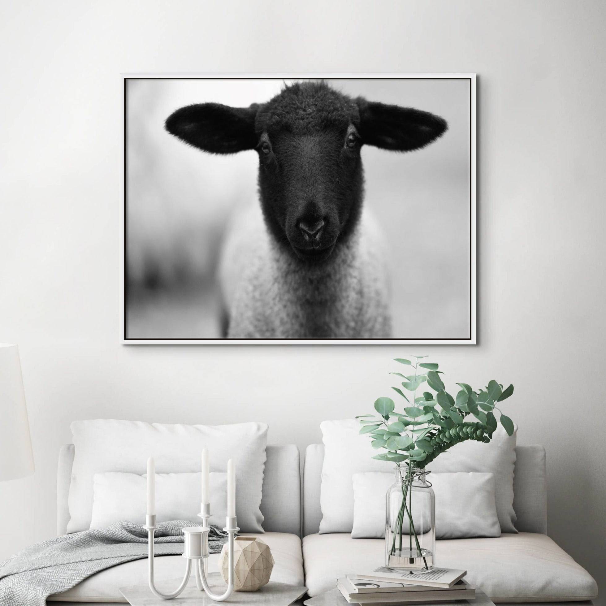 Little Jo - Giri Designs